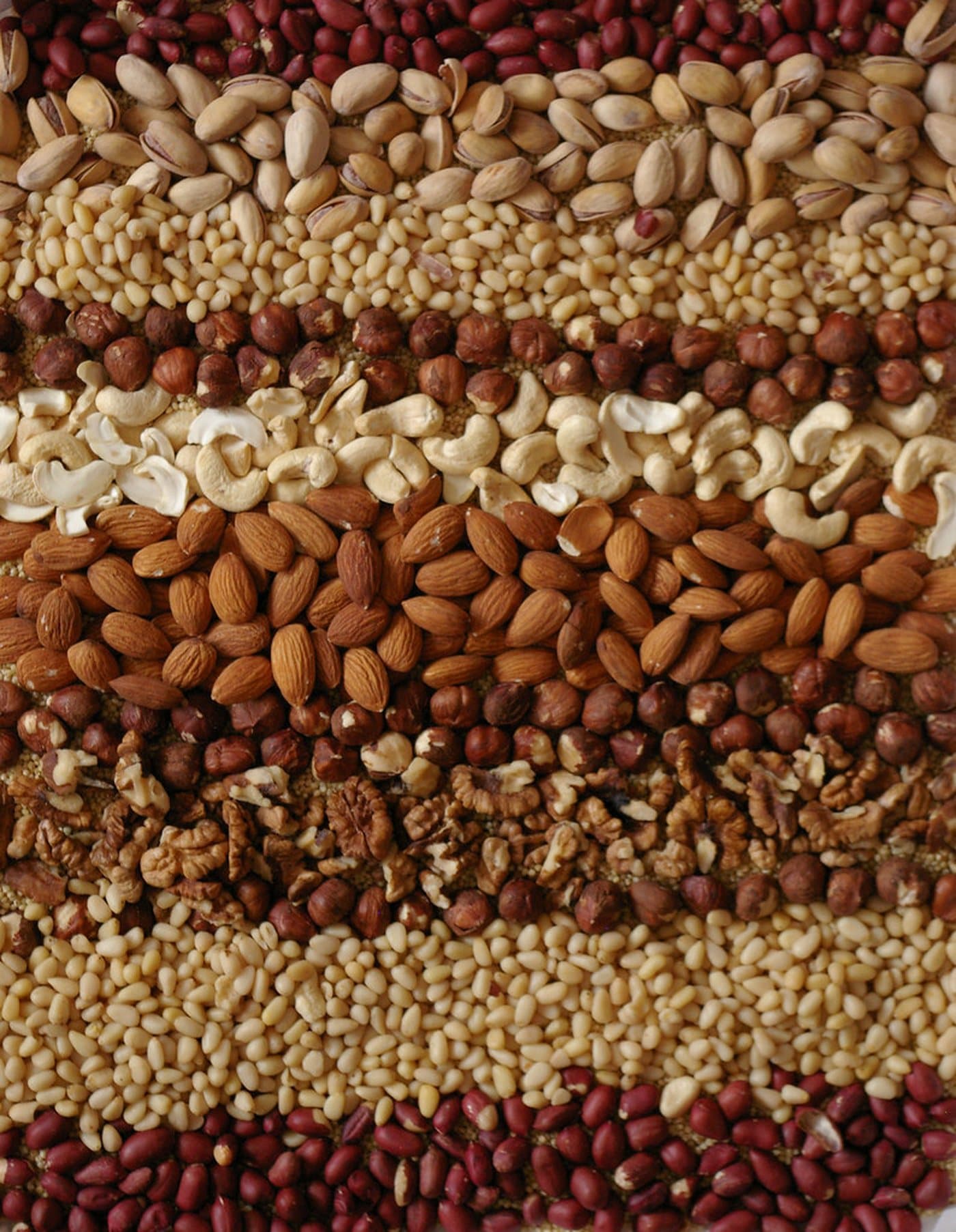 Fruits secs et graines disposés en bandes : pistaches, pignons, noisettes, noix de cajou, amandes, noix